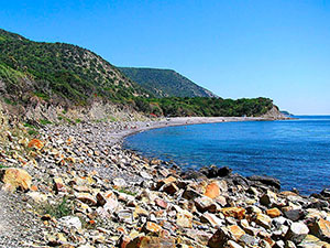 Побережье Черного моря