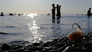 отдых на черном море около анапы